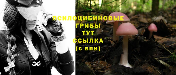 винт Новокубанск