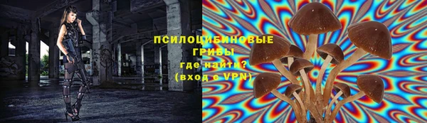 винт Новокубанск