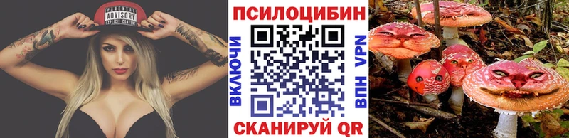 закладка  Полевской  MEGA сайт  Галлюциногенные грибы мухоморы 