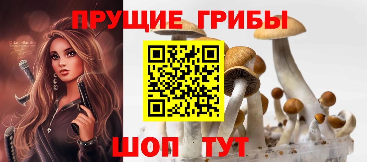 Галлюциногенные грибы мицелий  Галлюциногенные грибы Psilocybine cubensis  Полевской 