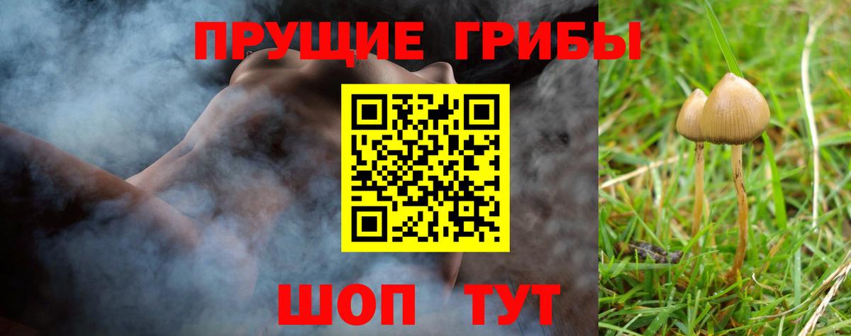 Галлюциногенные грибы мухоморы Полевской