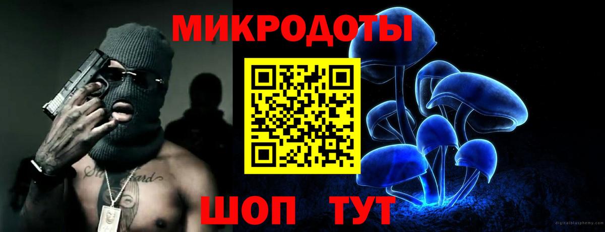 Псилоцибиновые грибы MAGIC MUSHROOMS Полевской